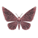 Lure Machina AI Companion