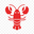 Openclaw-