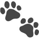Pet Lens AI