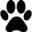 ShortVideoGen