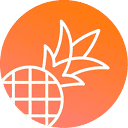 pineapplebuilder.com